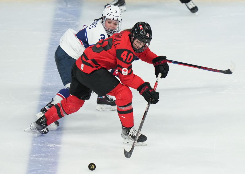 Hóquei no Gelo: Saiba TUDO sobre o PRINCIPAL esporte do Canadá, hóquei 