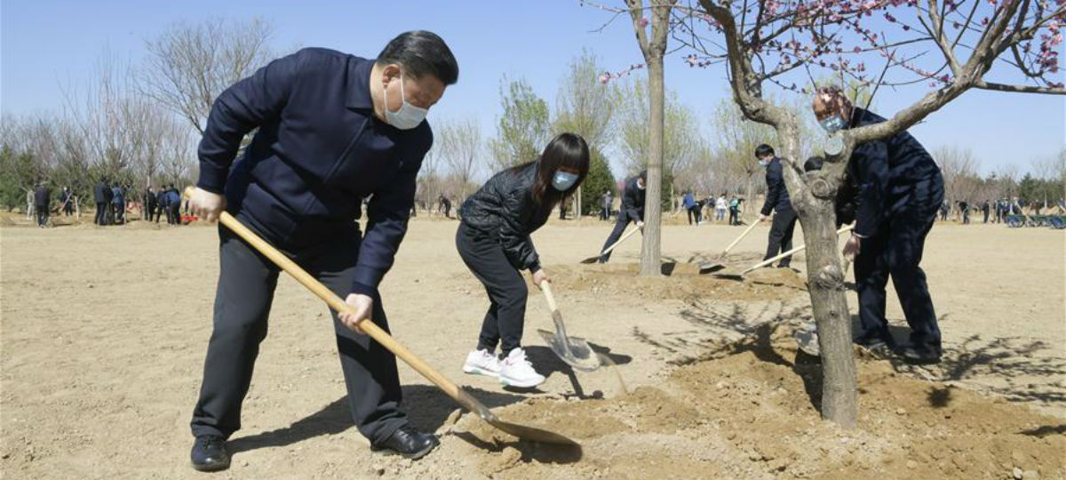 Xi planta árvores em Beijing