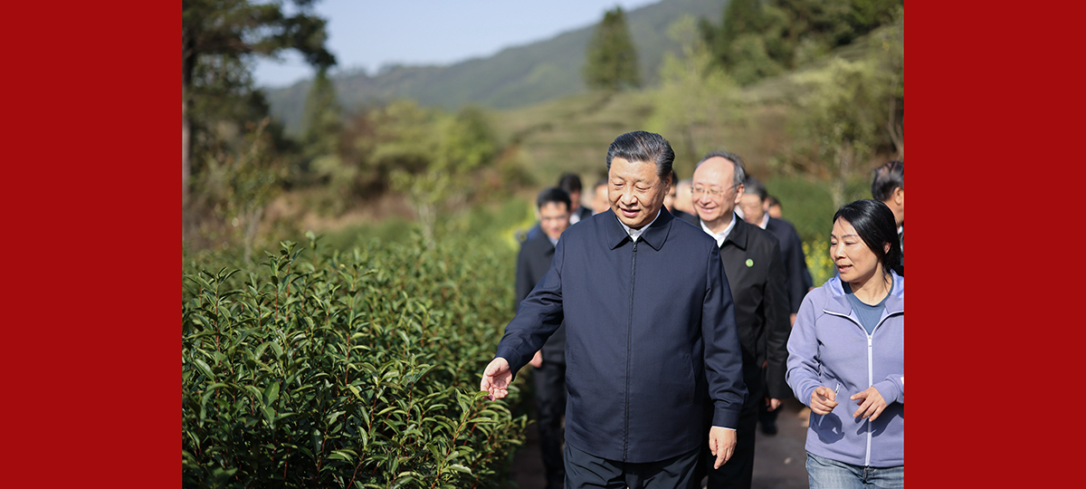 Xi inspeciona província oriental chinesa de Fujian
