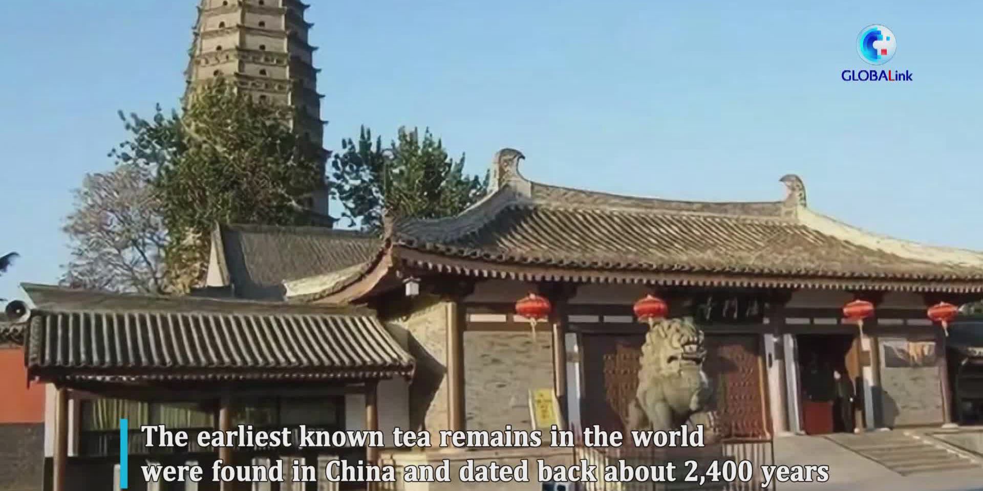 Requintados conjuntos de chá da Dinastia Tang