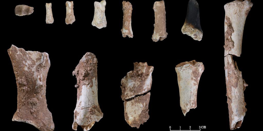 Fóssil de crânio humano de 32 mil anos é descoberto em Henan da China