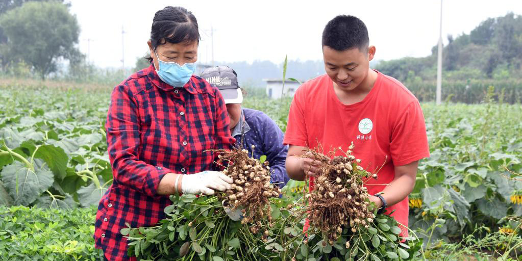 "Fazenda do Futuro" em Beijing utiliza sistema inteligente para gerenciamento de colheitas