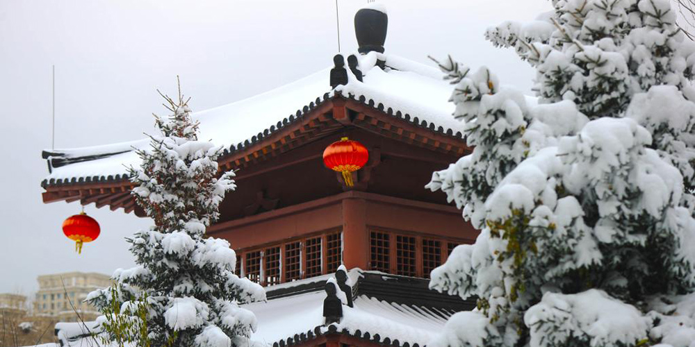 Paisagem de neve em Shenyang, nordeste da China