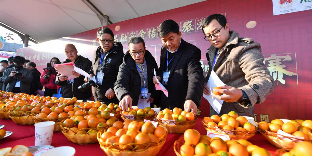 Guangxi, no sul da China, realiza Concurso do "Rei do Cunquate"