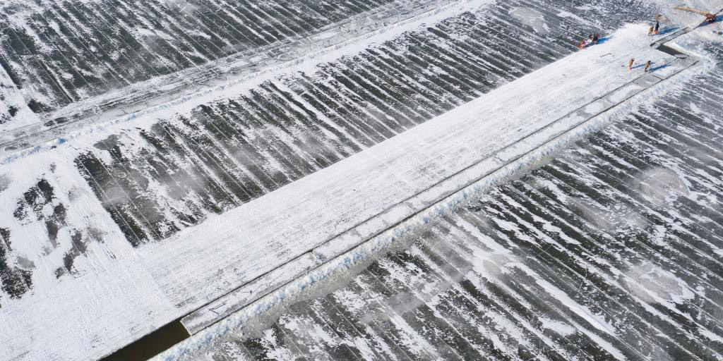 Trabalhadores coletam cubos de gelo do Rio Songhua em Harbin