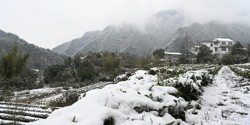 Nevascas congelam paisagens na China