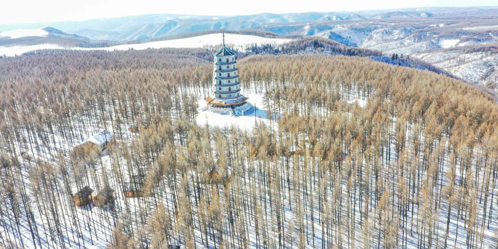Paisagem de neve do Parque Florestal Nacional de Saihanba em Hebei