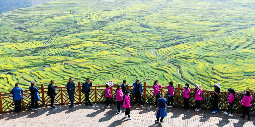 Guizhou se esfor&ccedil;a para integrar agricultura com turismo e ind&uacute;strias culturais