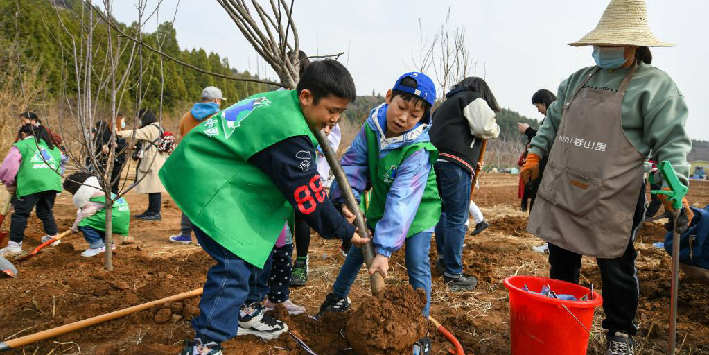 Tianjin realiza evento de plantio coletivo de árvores em pedreira abandonada
