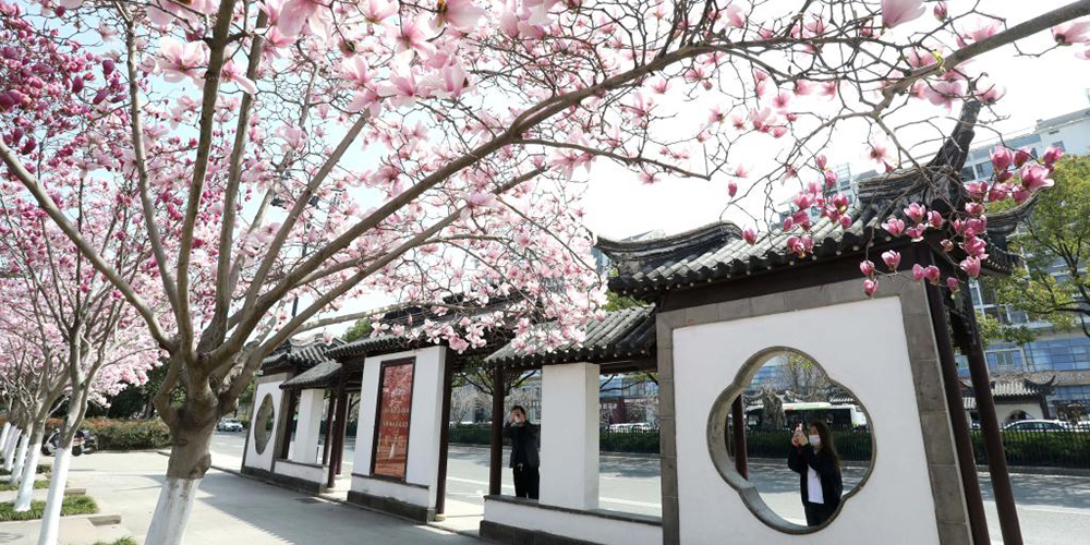Primavera pinta a China de flores e cores