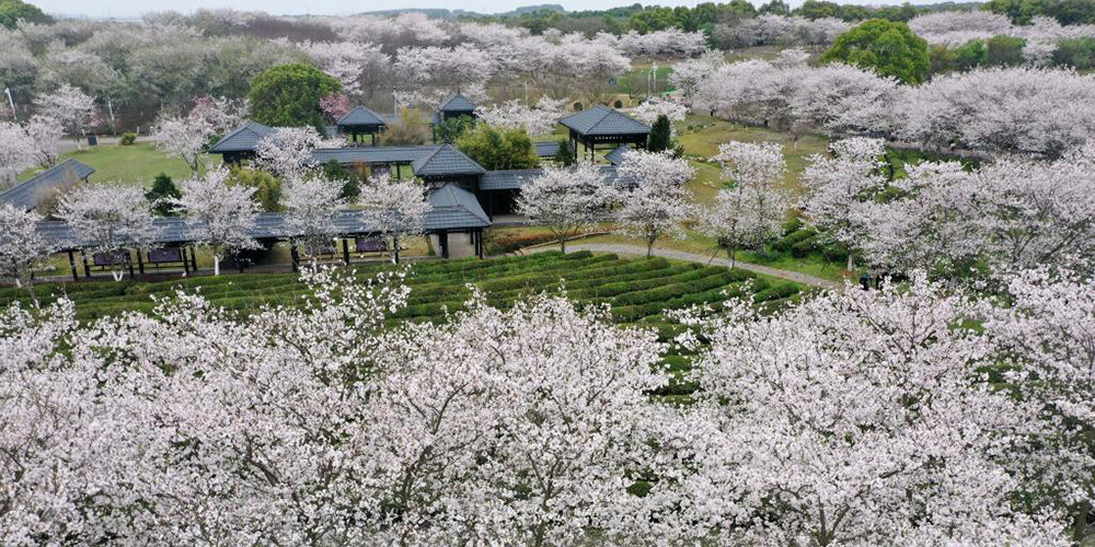 Paisagem de primavera da área cênica de Fenghuanggou, na província de Jiangxi