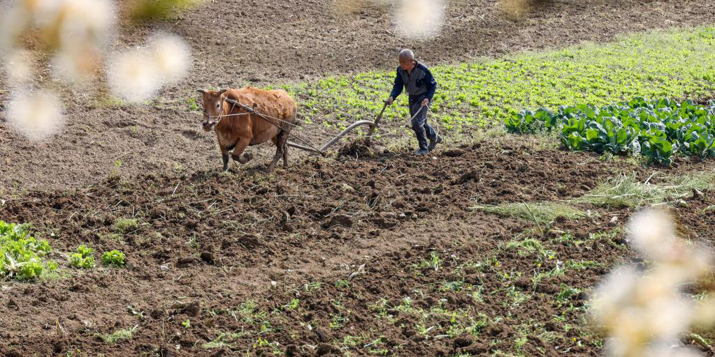 Atividades agrícolas em pleno andamento ao redor da China