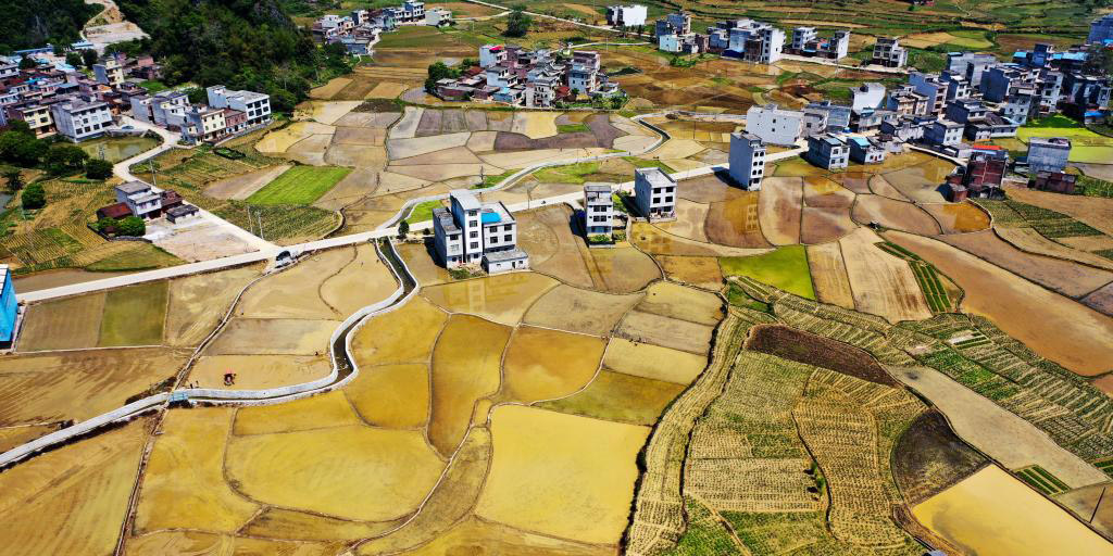 Paisagem de arrozais em Guangxi, no sul da China