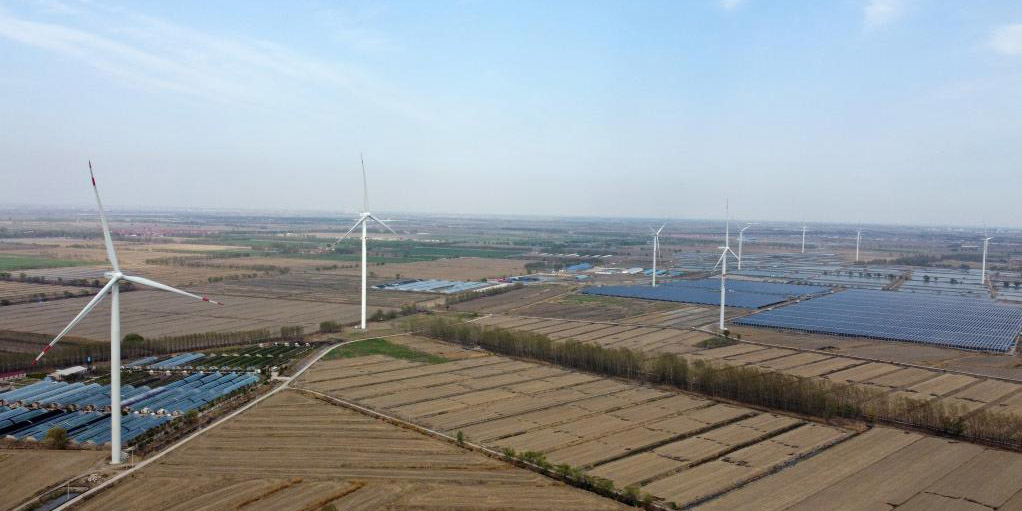 Capacidade instalada de parques eólicos em Tianjin chega a 1,296 milhões de kw