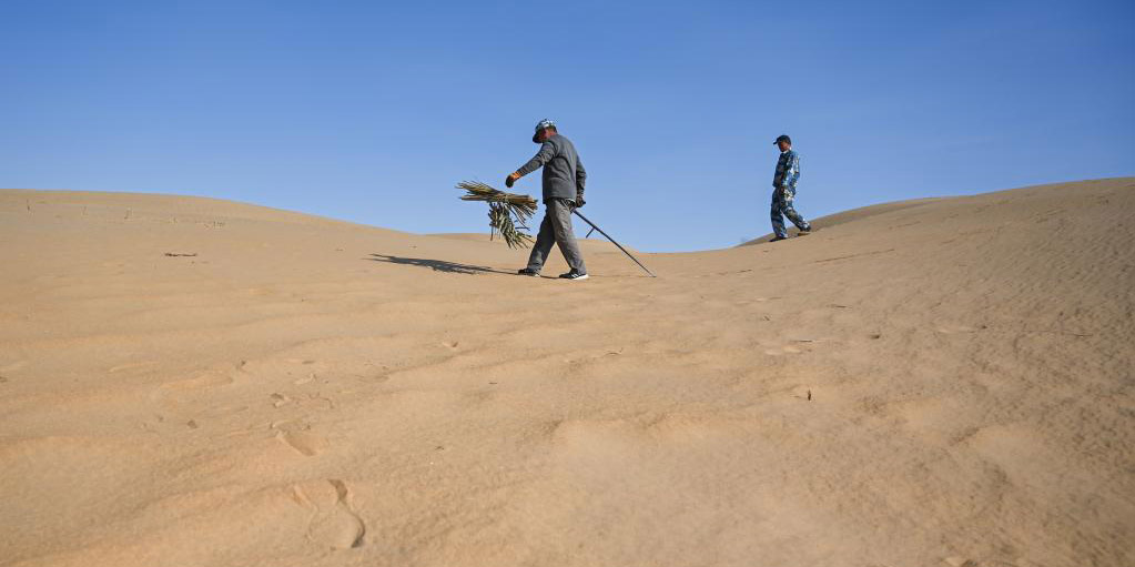 Começa o plantio de salgueiros na área de ecoturismo na Mongólia Interior