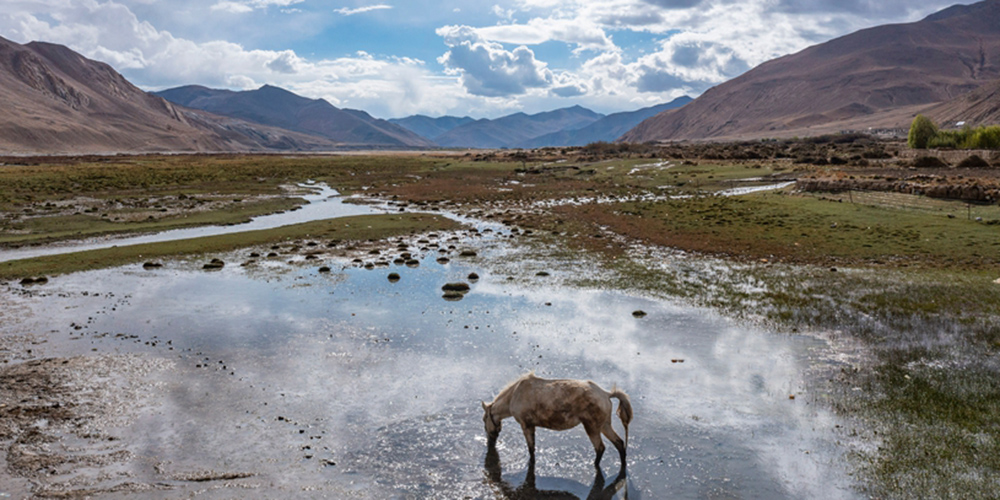 Paisagem da Reserva Natural Nacional de Qomolangma no Tibet