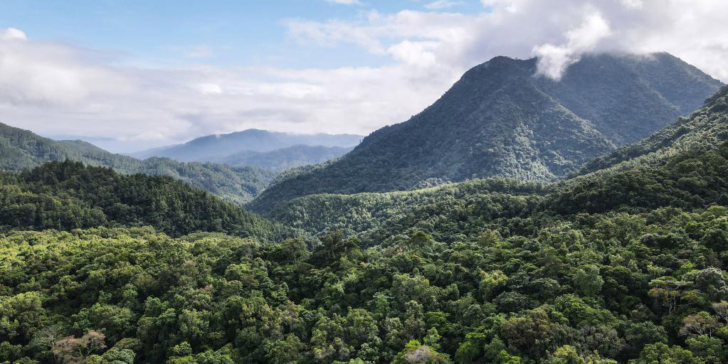 Paisagem da seção de Wuzhishan do Parque Nacional de Floresta Tropical de Hainan