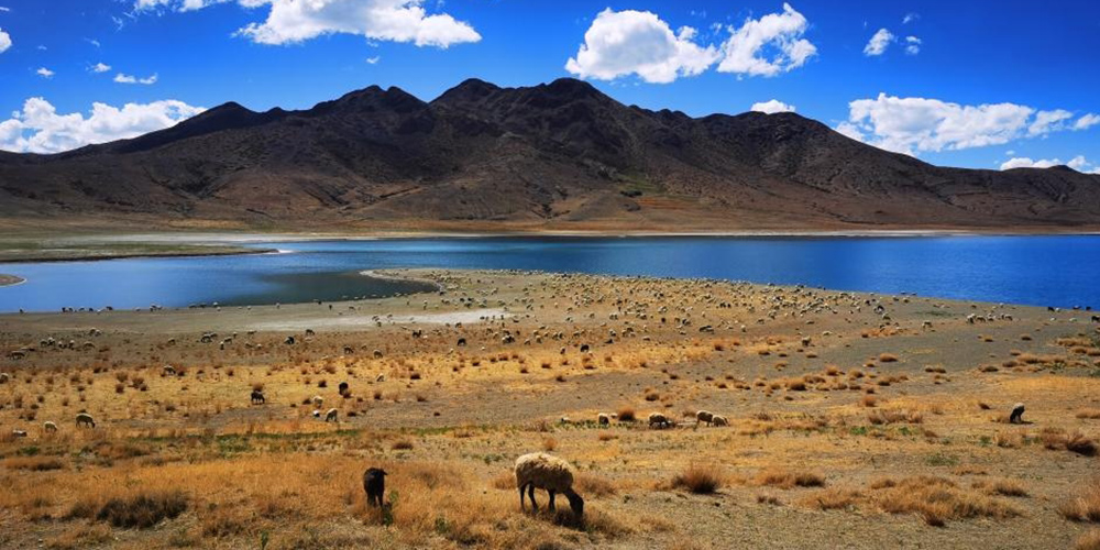 Tibet está entre as regiões com o melhor desempenho ambiental