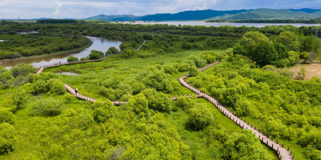 Paisagem do Parque Nacional do Pântano do Rio Wusuli, na província chinesa de Heilongjiang