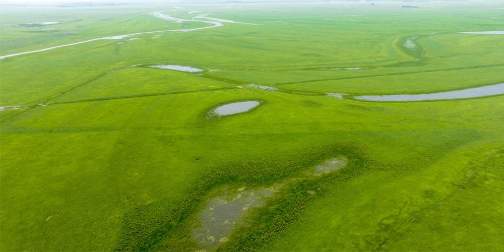 Biodiversidade melhora qualidade das águas dos rios no distrito de Zhenlai, na provincia de Jilin